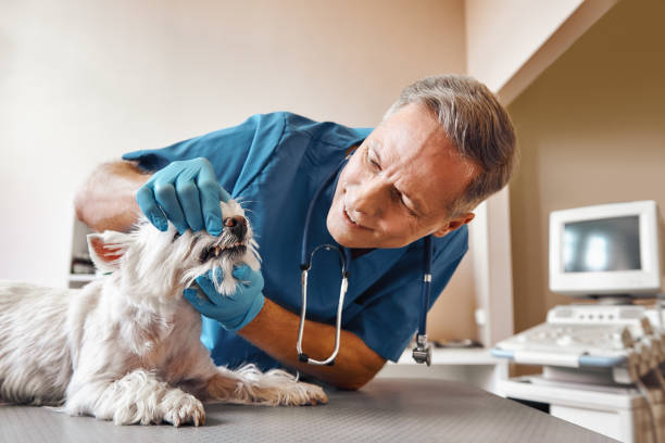 Best Pediatric Emergency Dentist in Marion, AL